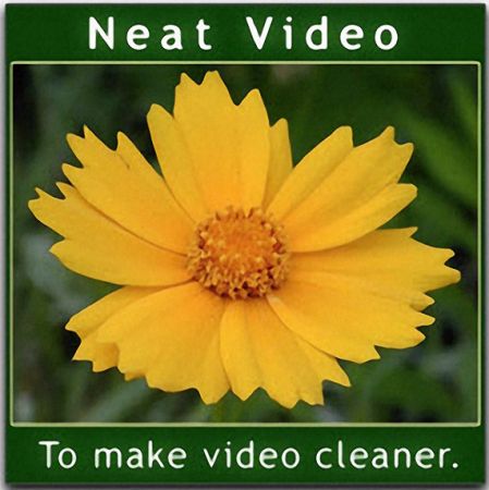 Neat Video Pro 6.0.5 (x64) for Adobe Premiere Pro[Repackmaster]